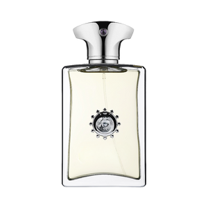 681 inspiriran po AMOUAGE - REFLECTION MAN Inspired Image