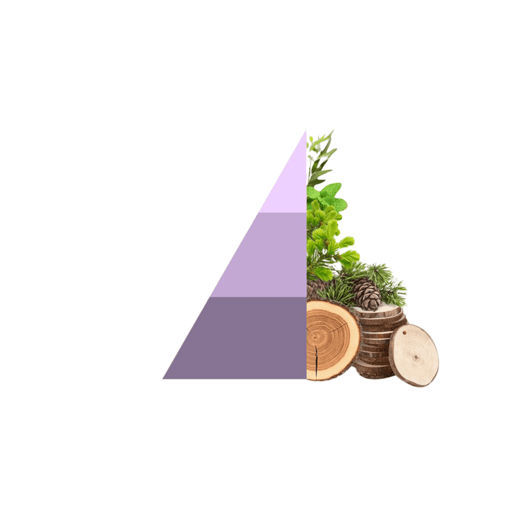 AMOUR Parfums Vse za perilo HOROMIA parfum za pranje perila BREZZA DI PRIMAVERA