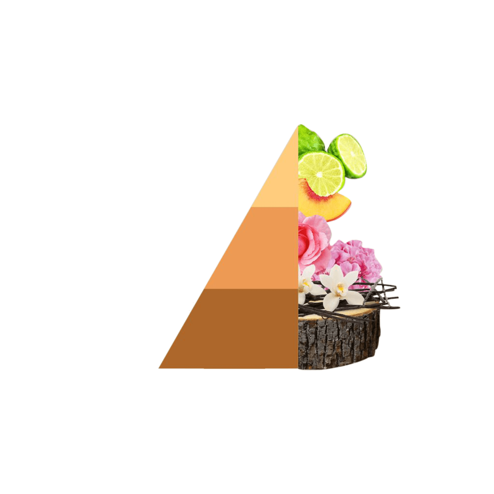 AMOUR Parfums Vse za perilo HOROMIA parfum za pranje perila VENTO D'ORIENTE